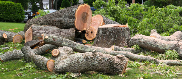 Best Arborist Consultation Services  in Wellsville, UT